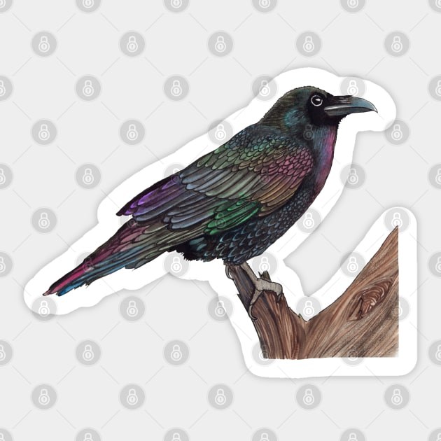 Rainbow Raven Sticker by Heather Dorsch Creations